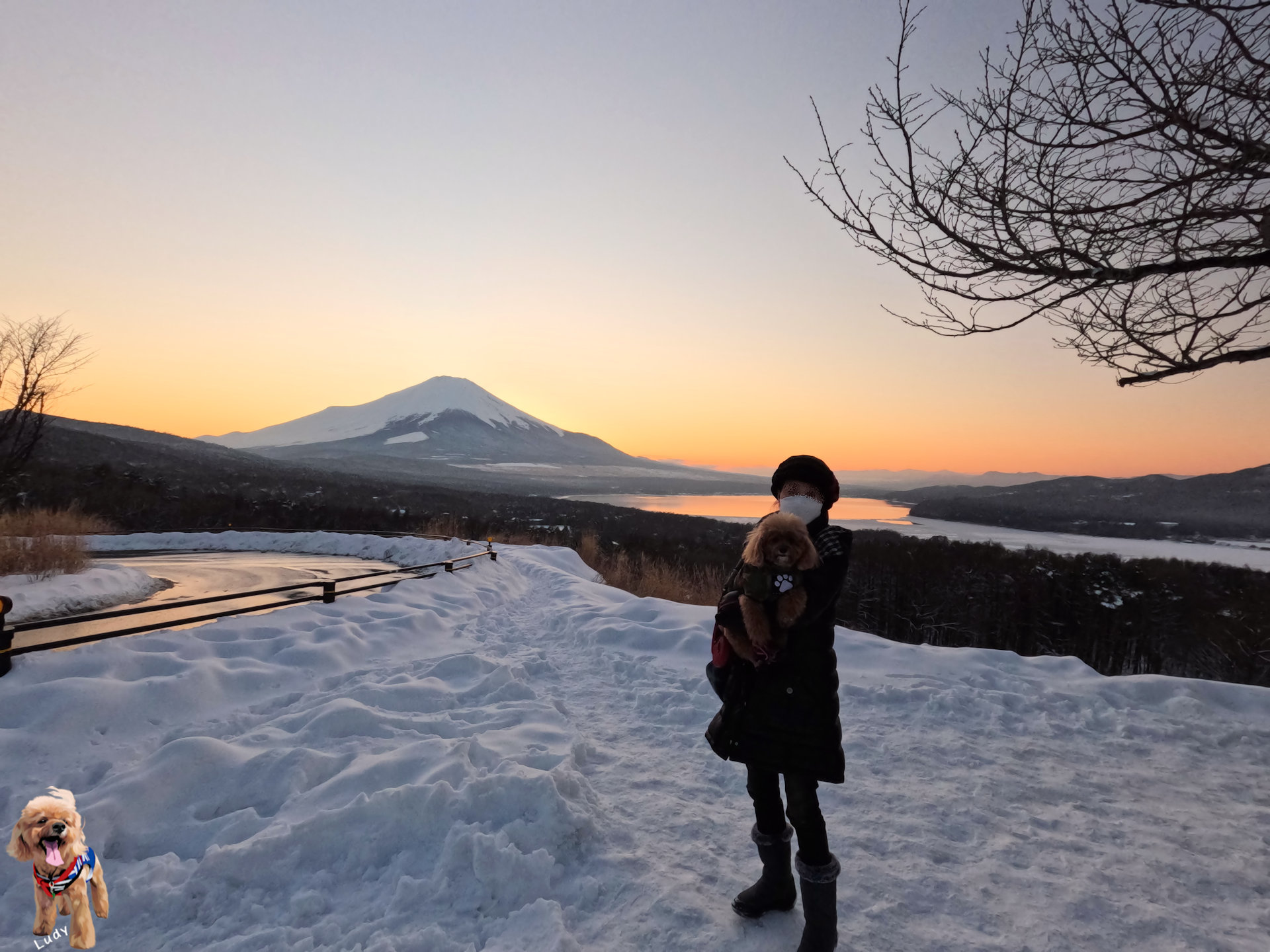 雪景色、茜色に染まる山中湖に映える富士山