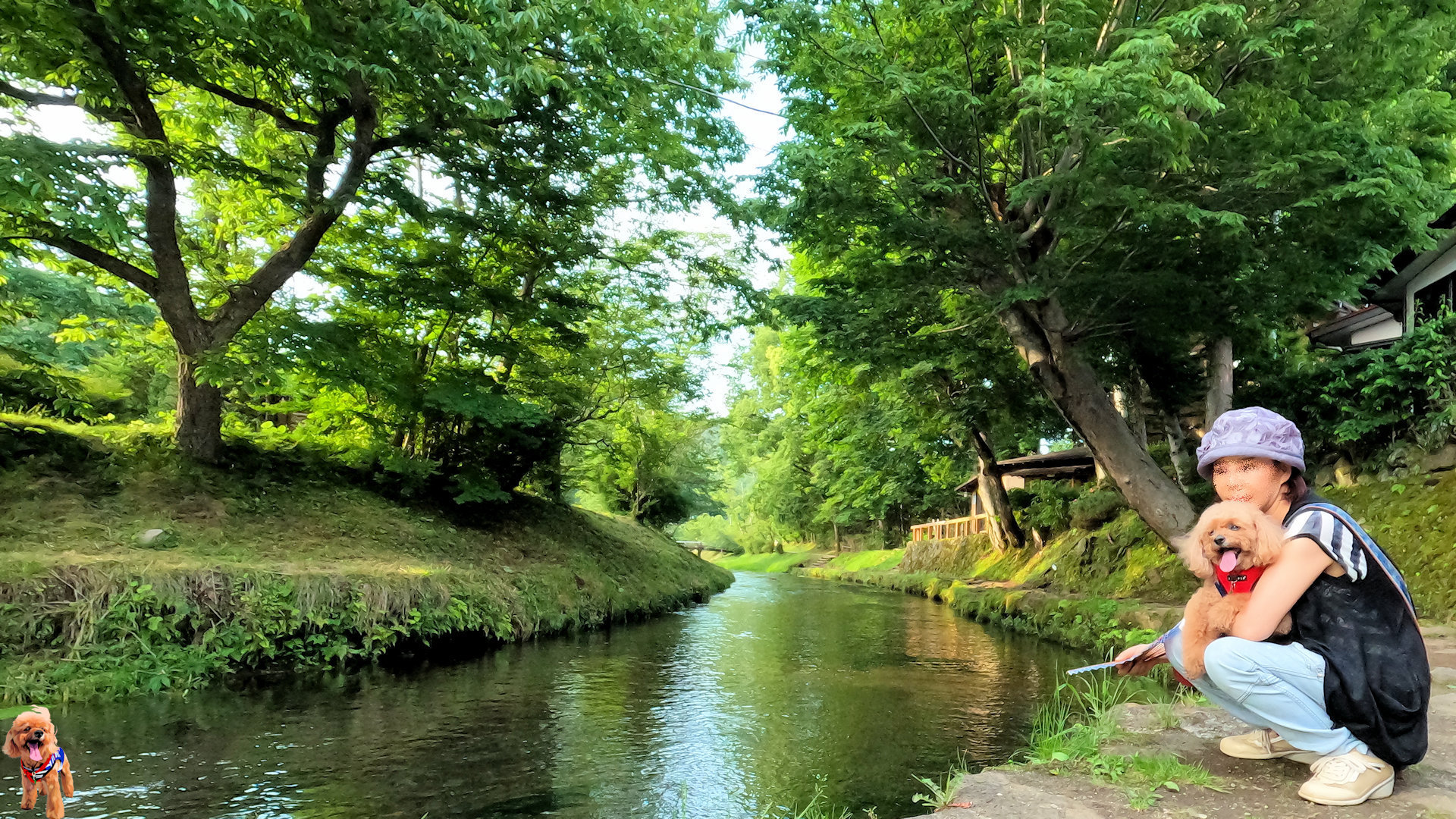 清流のせせらぎの音を聞きながら