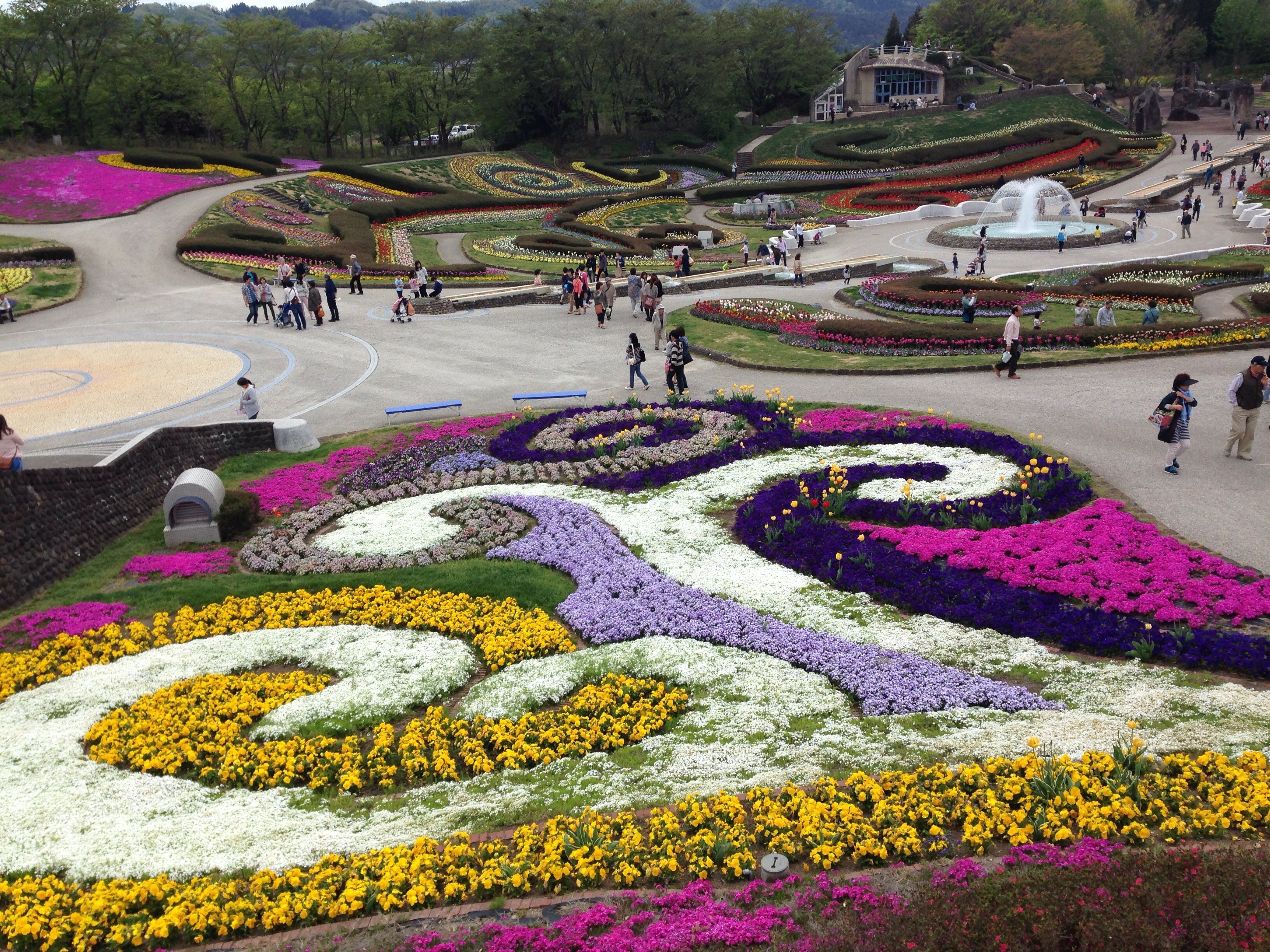 綺麗な国営公園