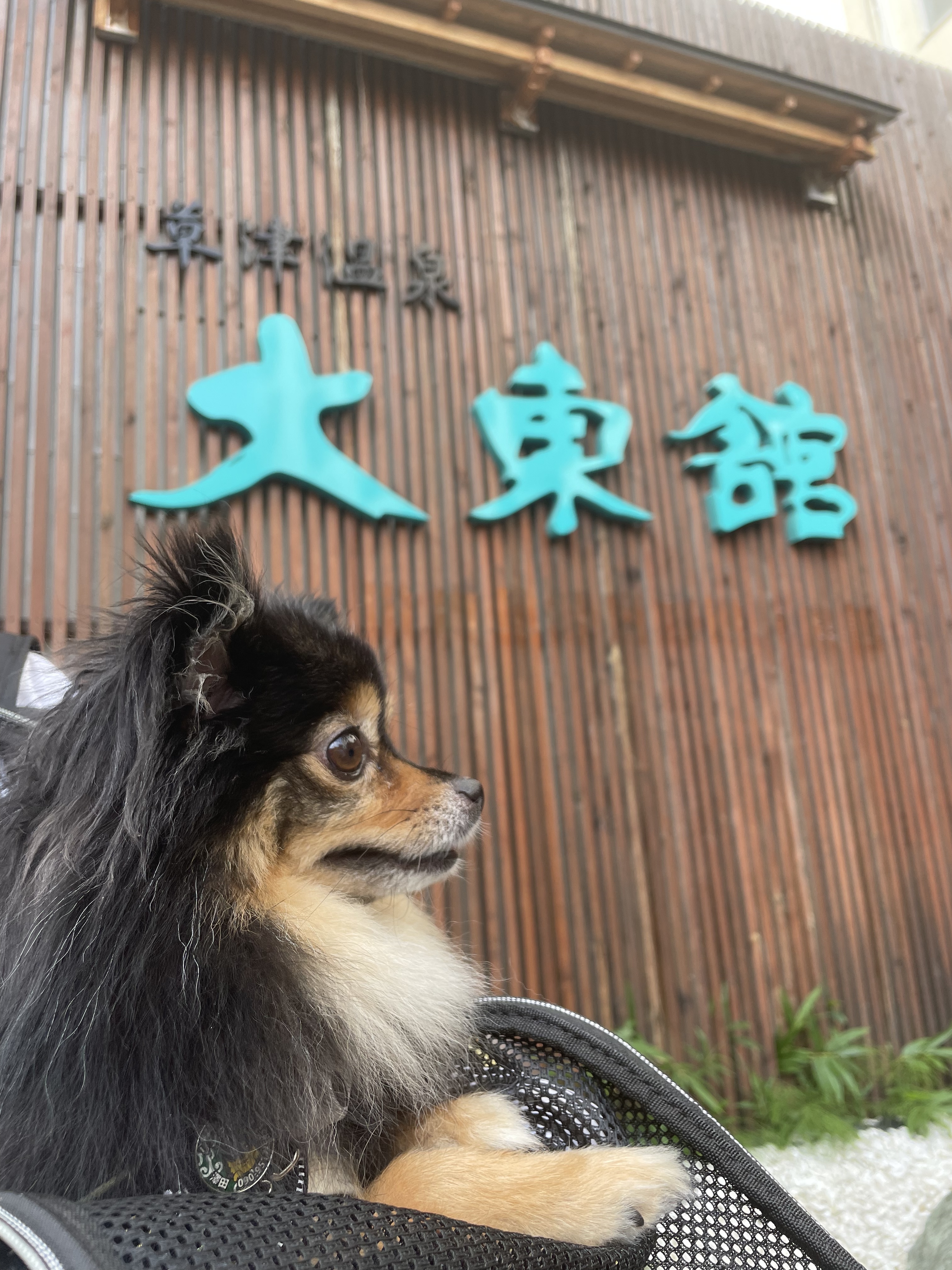 草津温泉へ行きました！