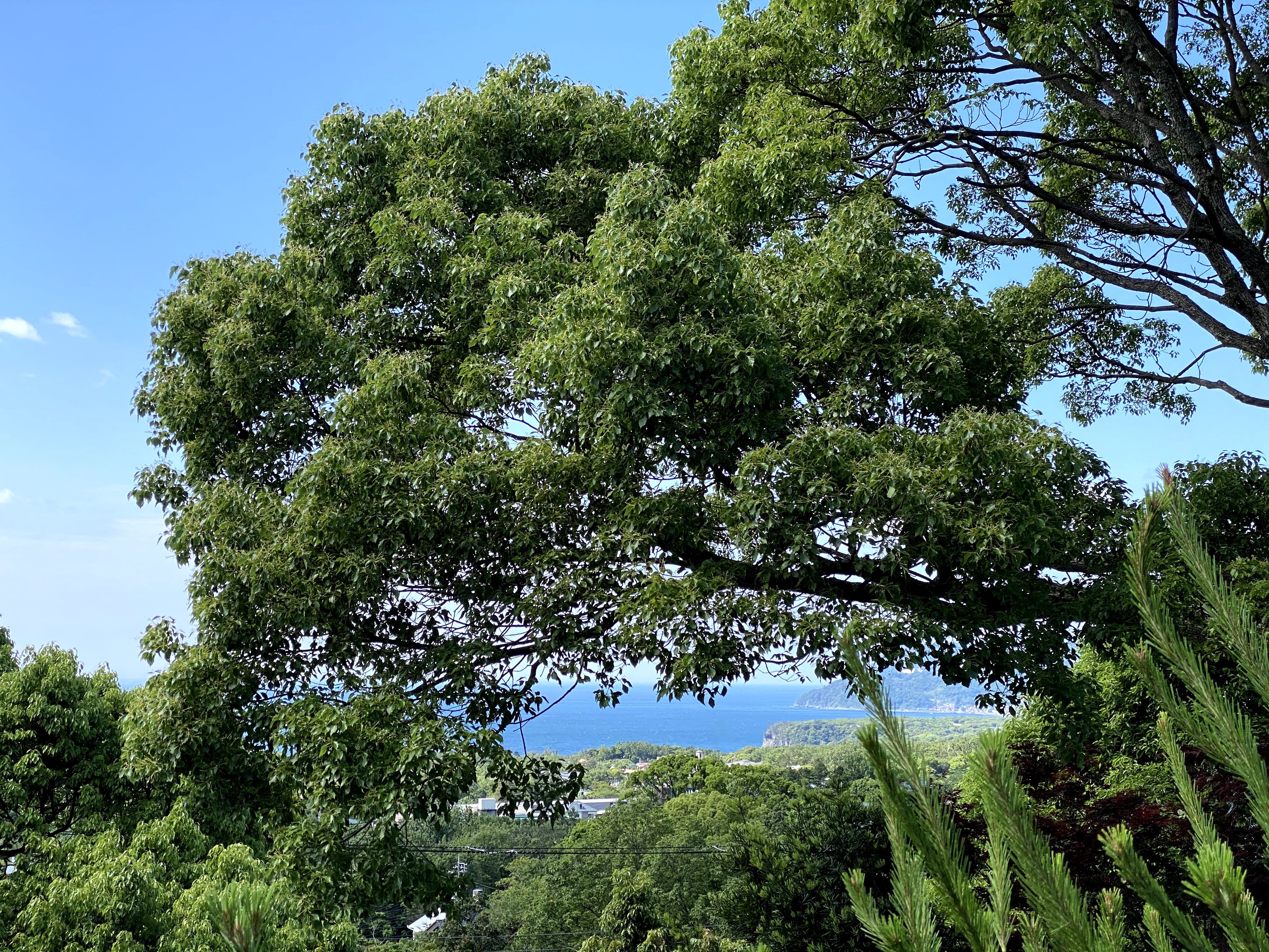 毎年秋になると行きたくなるお宿