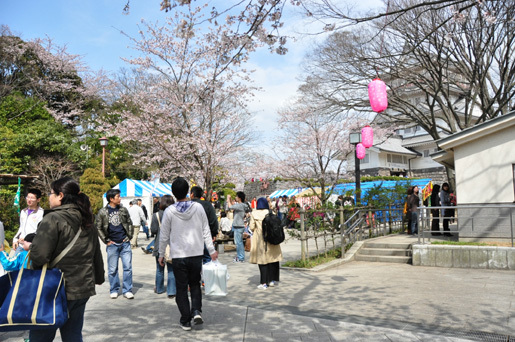 春は桜、秋には紅葉が綺麗です