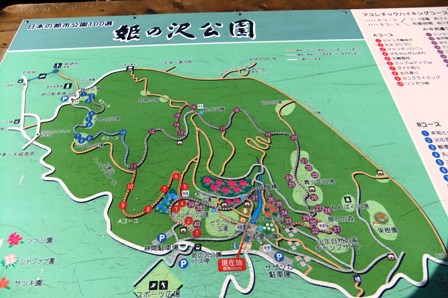 起伏のある公園で散歩コースもたくさんある♪