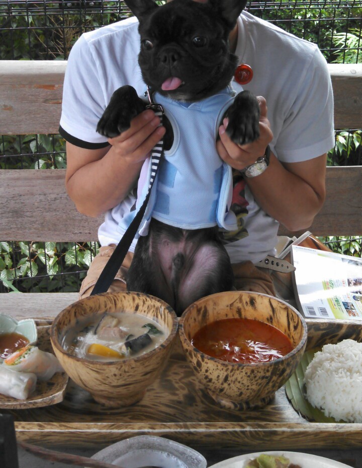 料理も大満足！