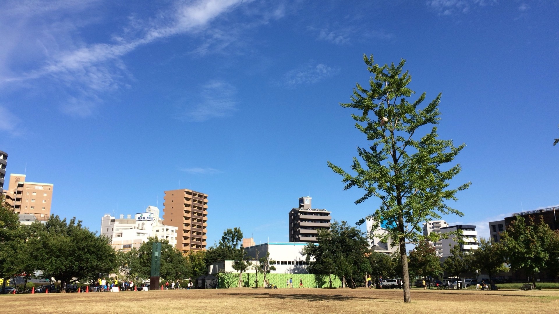 天気のいい日のテラスは気持ちいいです