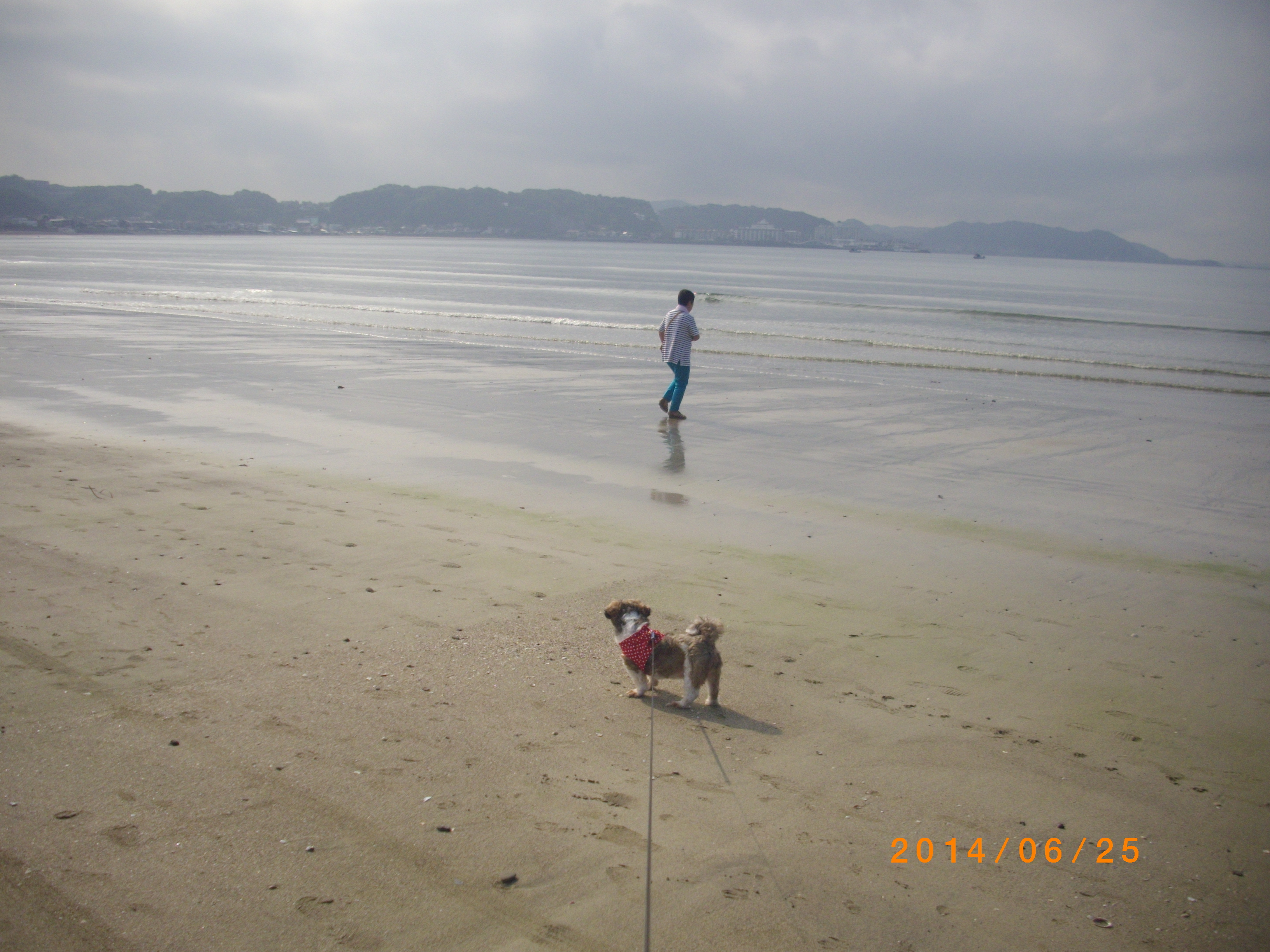 湘南散歩は、やっぱり由比が浜