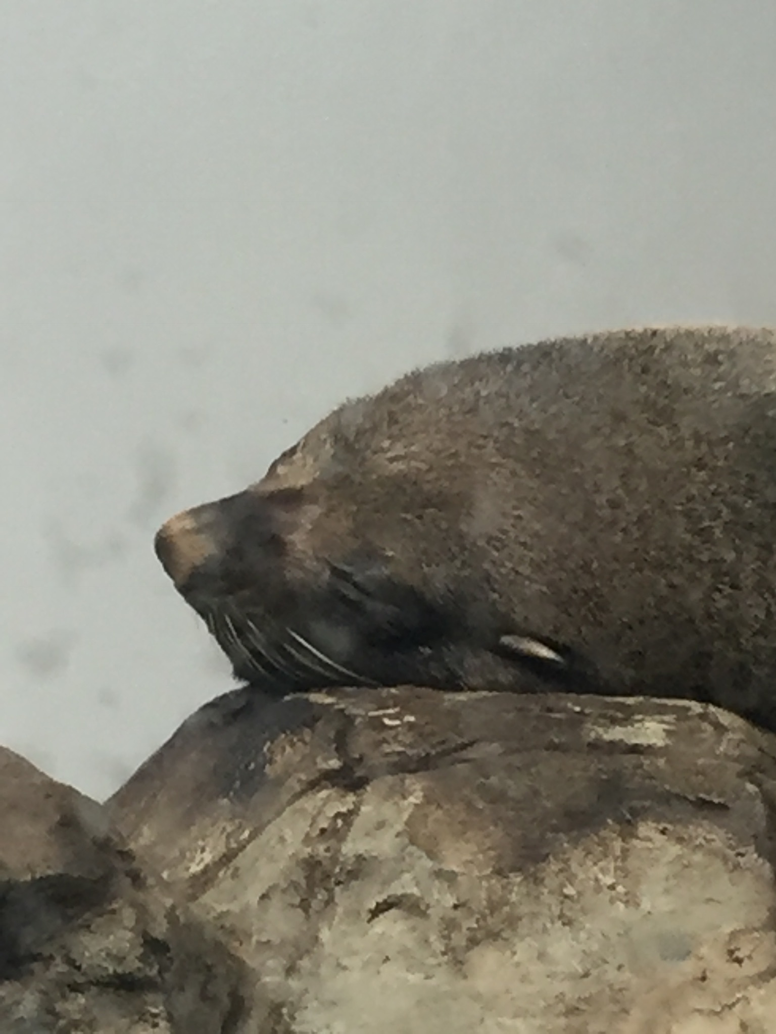 みんなで楽しく水族館