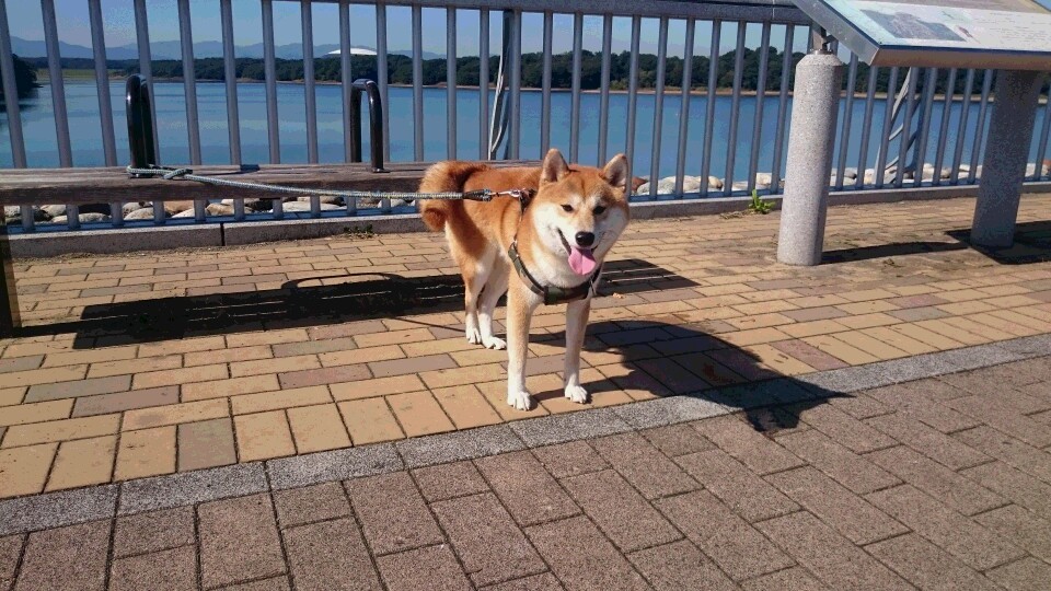 狭山公園