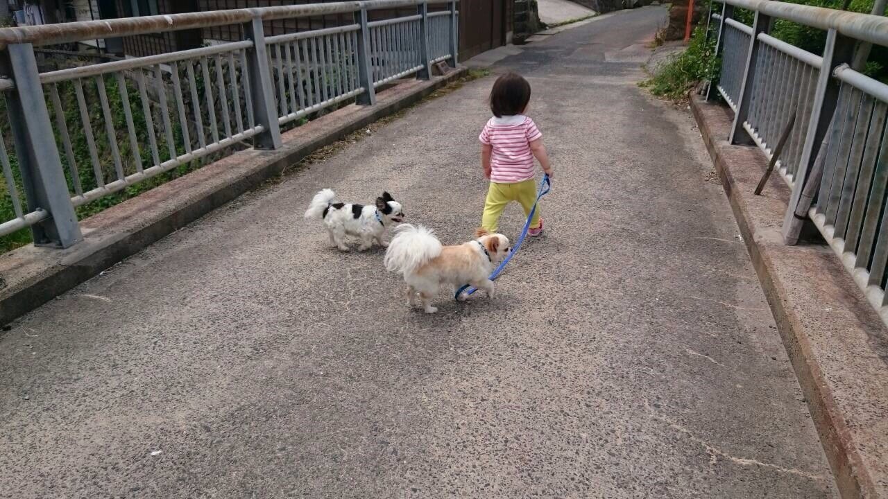 鳥取自慢の大山