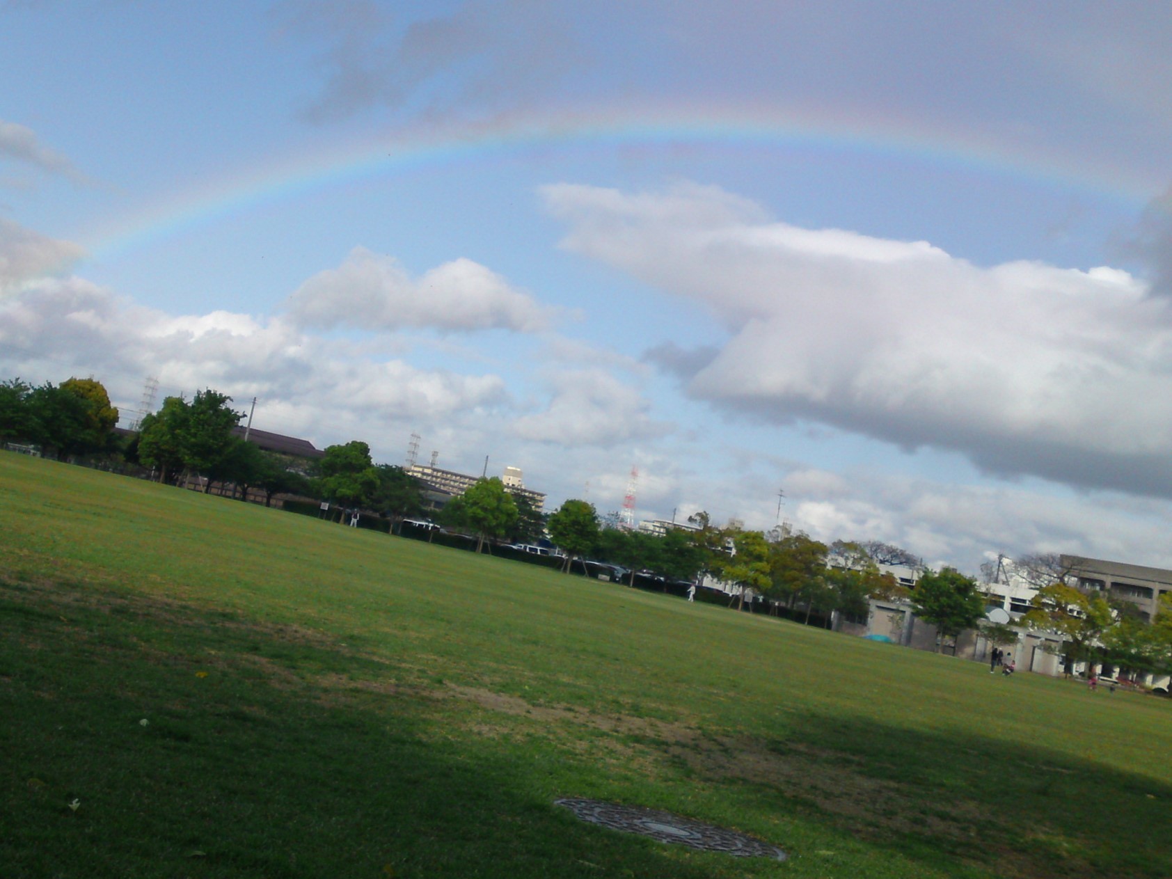 広々とした緑いっぱいの大きな公園