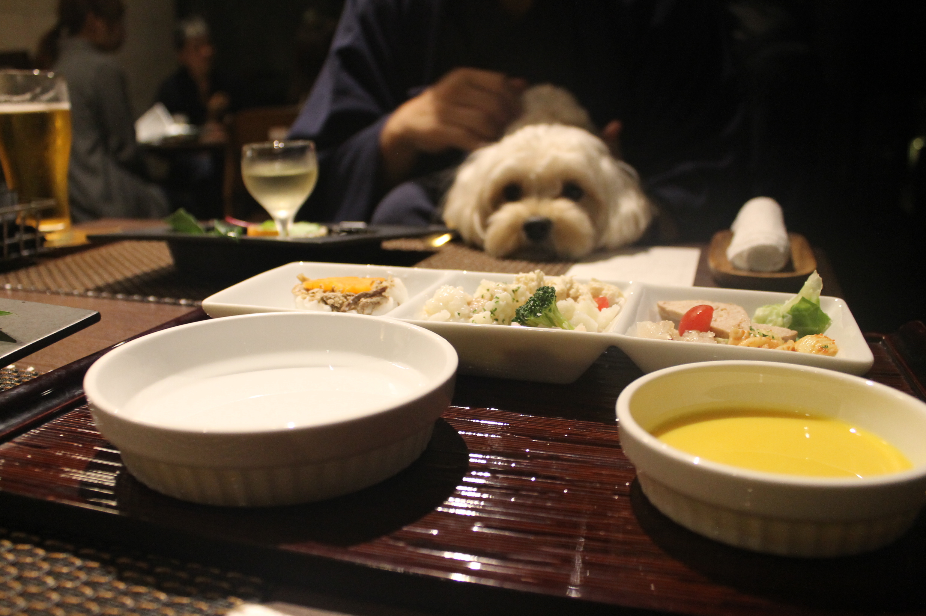 素晴らしい宿！愛犬と一緒に極上の時間を過ごせます。