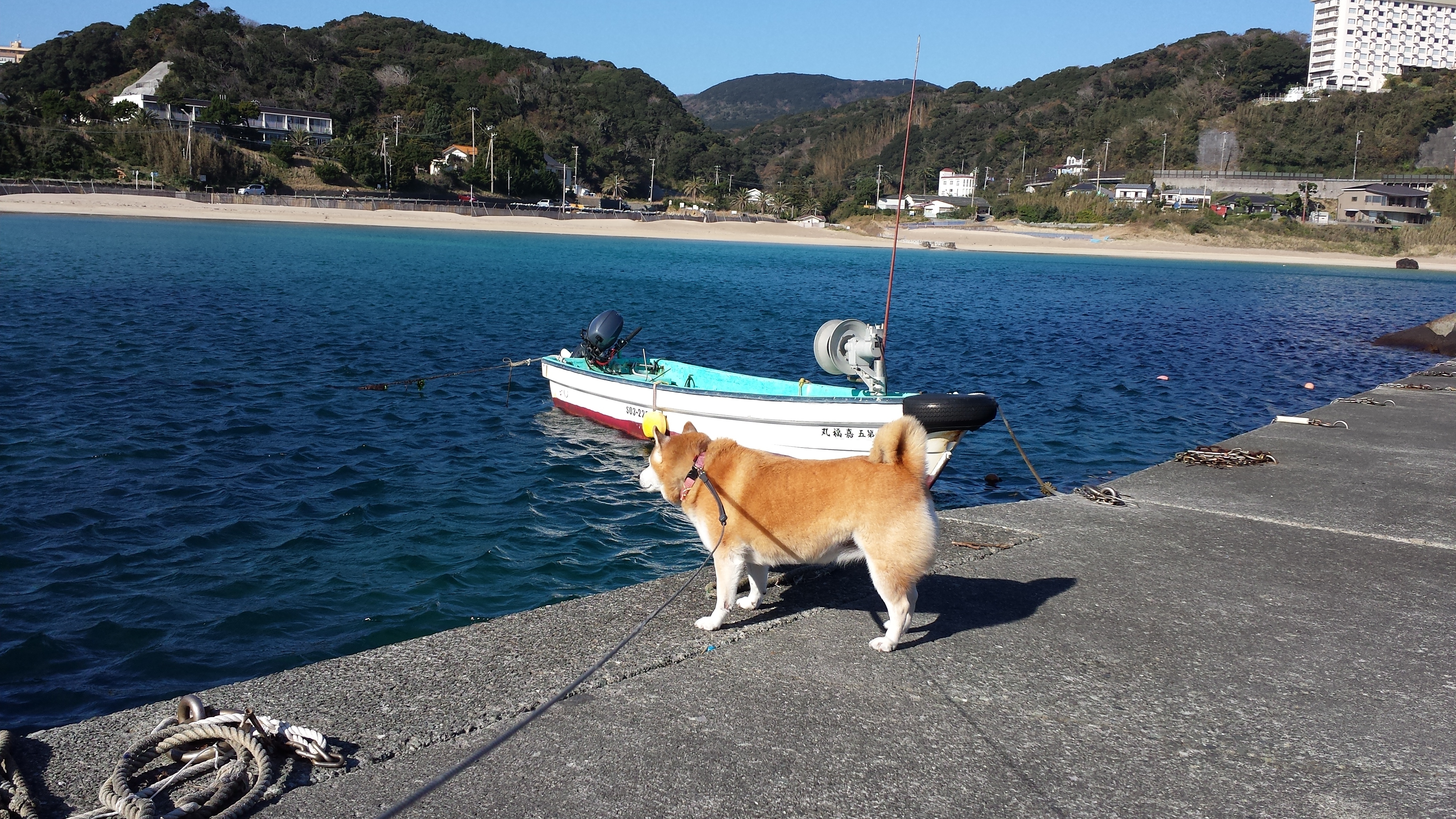 初めての海にお勧め