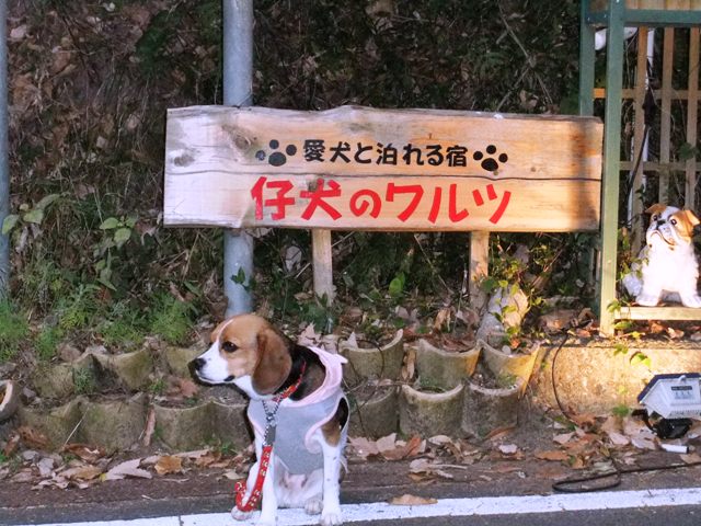 食事がとても美味しかったです