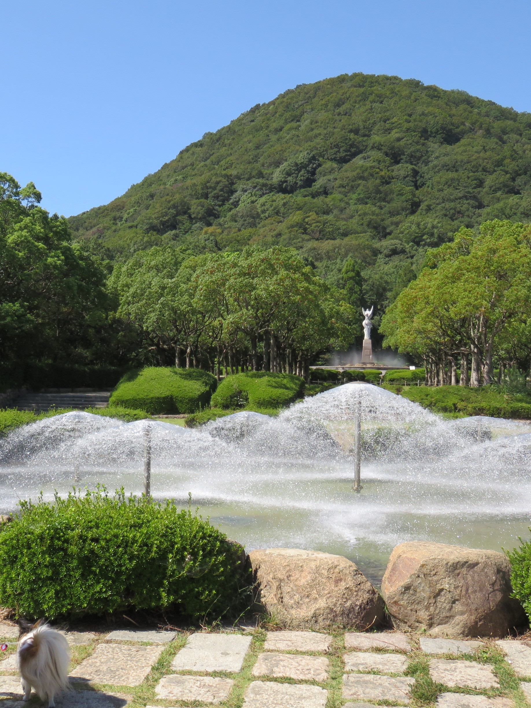 六甲山の東、甲山にある森林公園です。