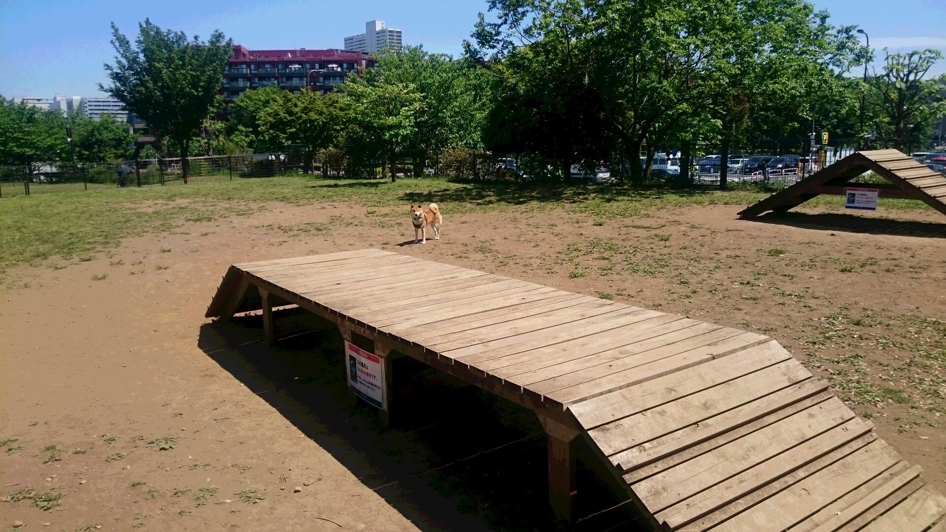 昭和記念公園のドッグラン