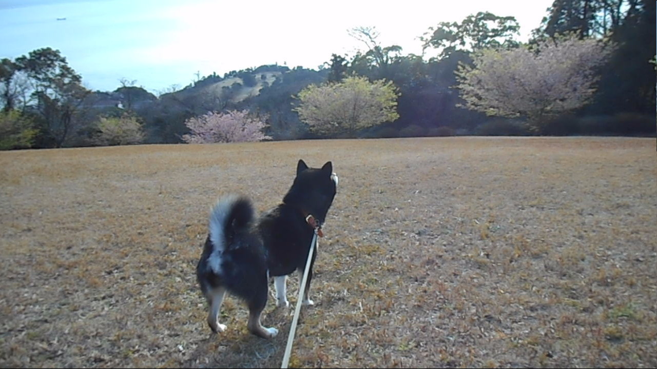 広々とした敷地にある憩いの場所