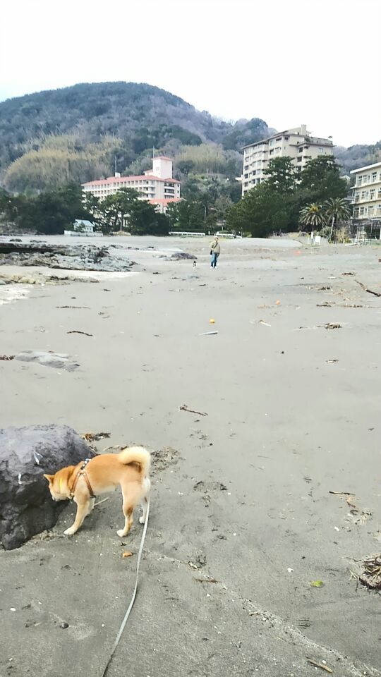 ただただ広い海岸線