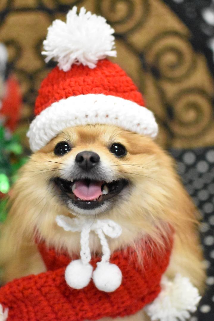 クリスマススマイル