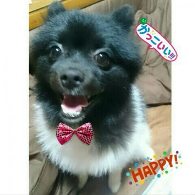 ちょっとオシャレしてみたよ！似合う？