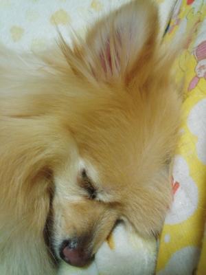 天使すぎる♪