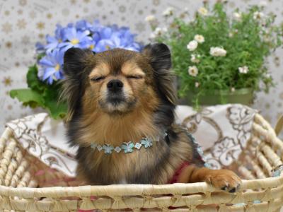 うとうと。。。
