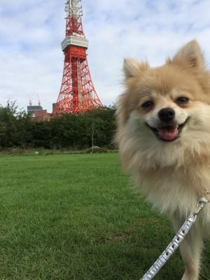 お気に入りの公園わふ！