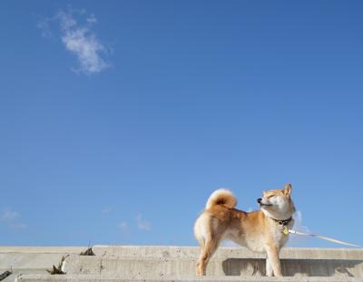 気持ちいい空