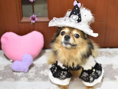 おにゅーのワンピとママが作ったおぼうちでキメキメポーズ