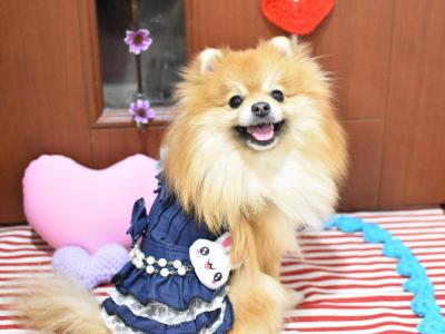 にっこりニコニコ