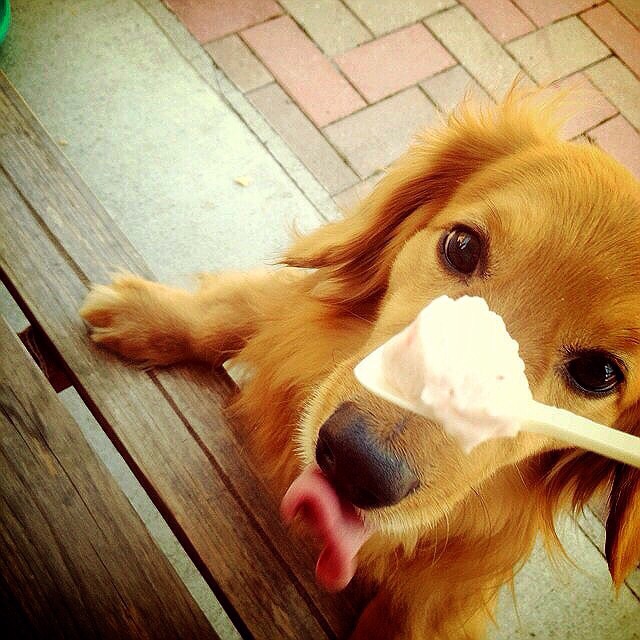おねだり