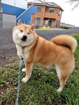 むんっ