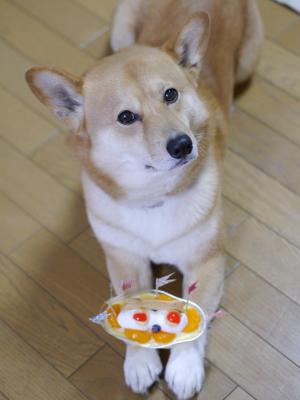 ボクのケーキだよ！