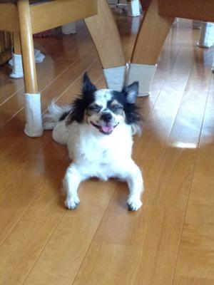ママ撮って٩(๑❛ᴗ❛๑)۶