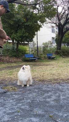 イヤだよ～だ！