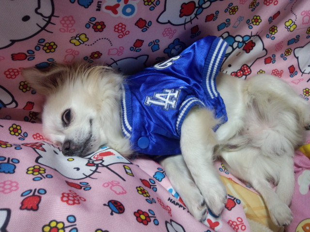 何だよ！！