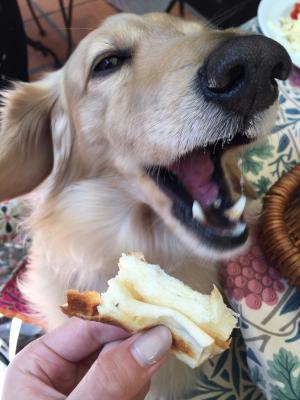 お外でランチ
