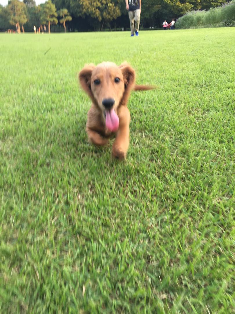 初めての公園♪