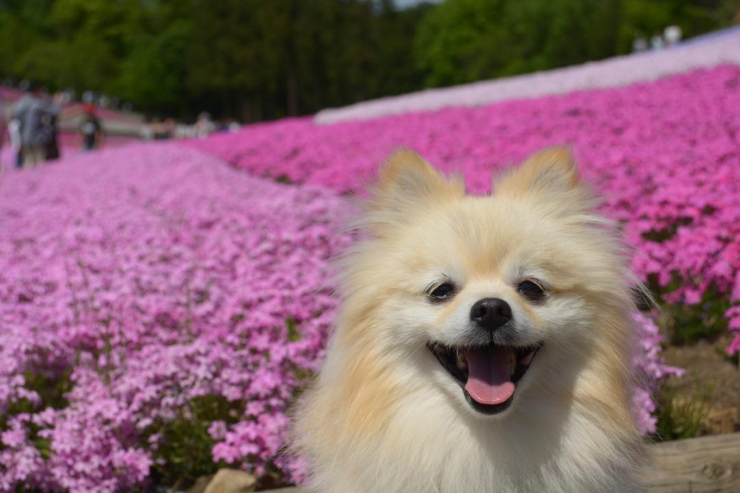 ビューティフル！