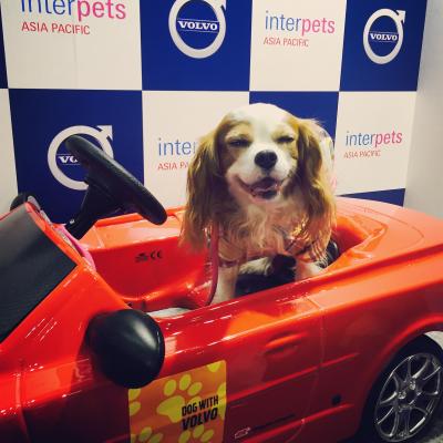 ドライブルンルン♪