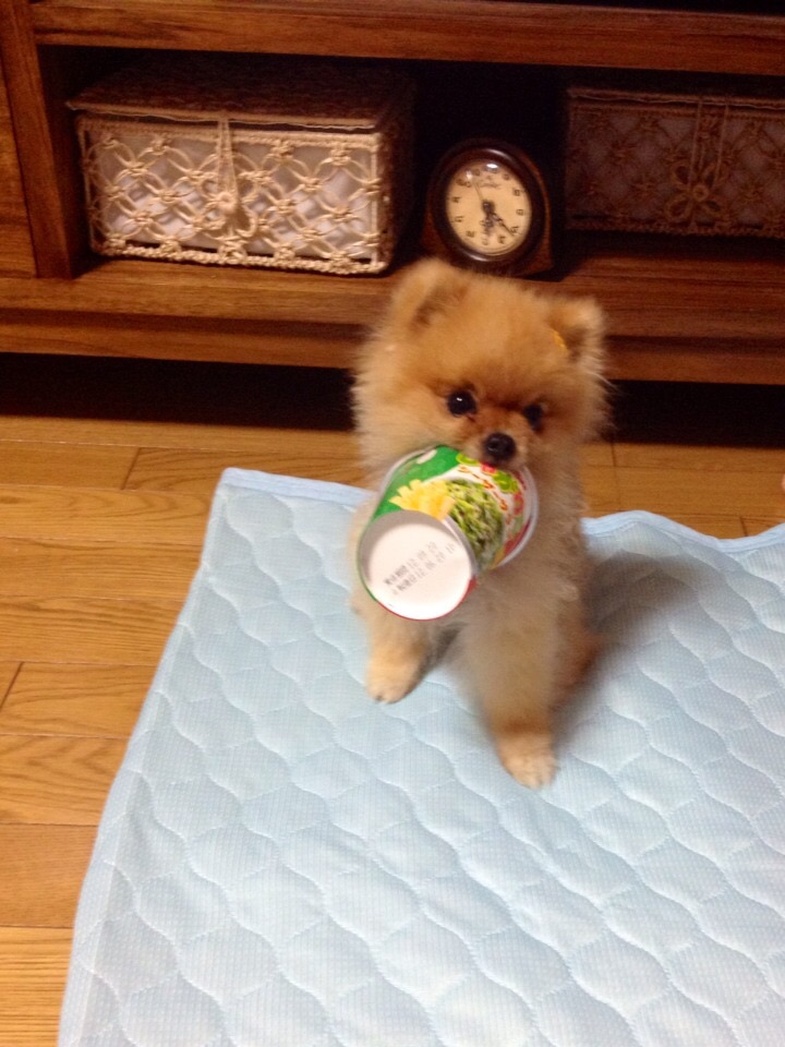 カップラーメンが食べたい。