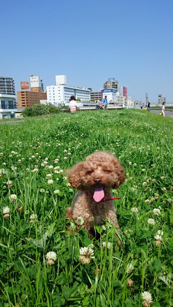 お日様大好き!!