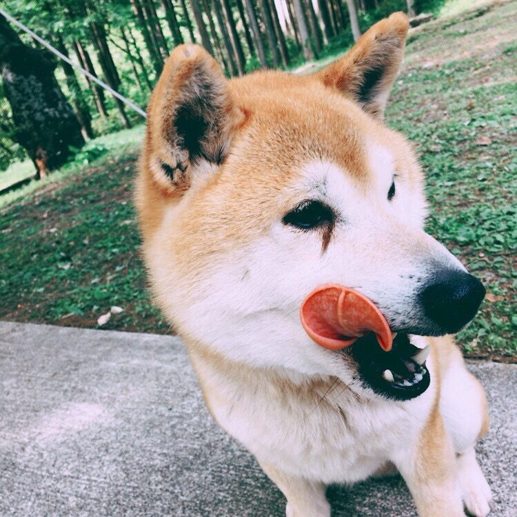 牛タン!?ちゃうちゃう、僕の舌