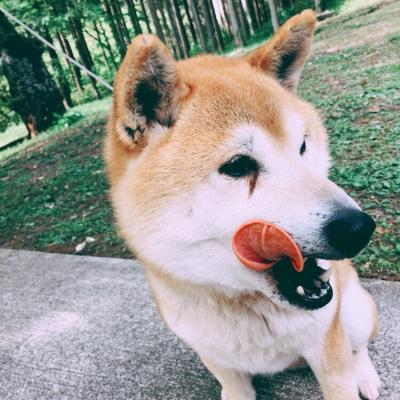 牛タン!?ちゃうちゃう、僕の舌