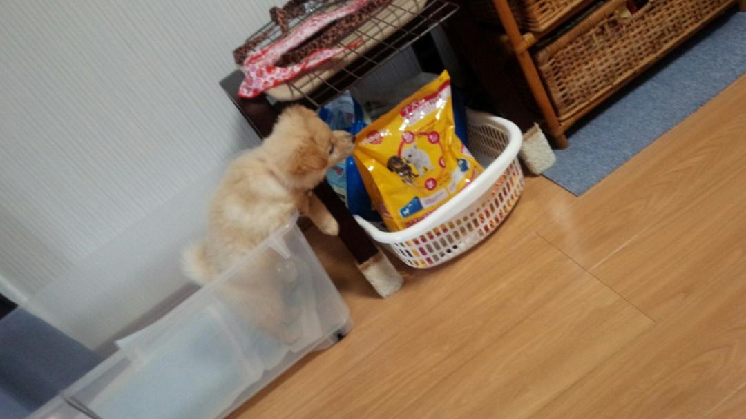 ごはんのにおい😏💓