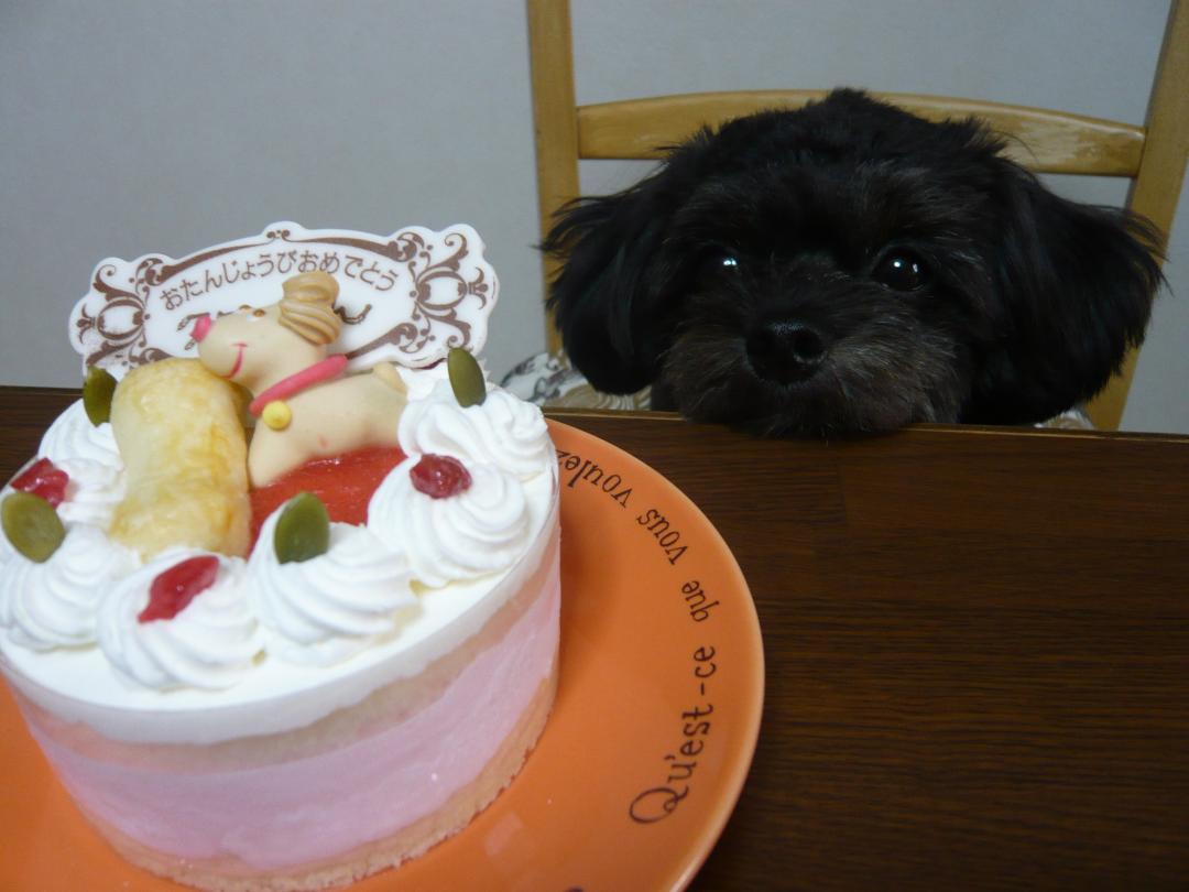 早くケーキ食べたい！