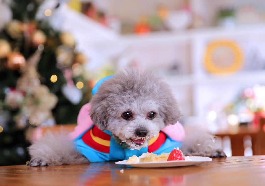 年に一度のケーキの日