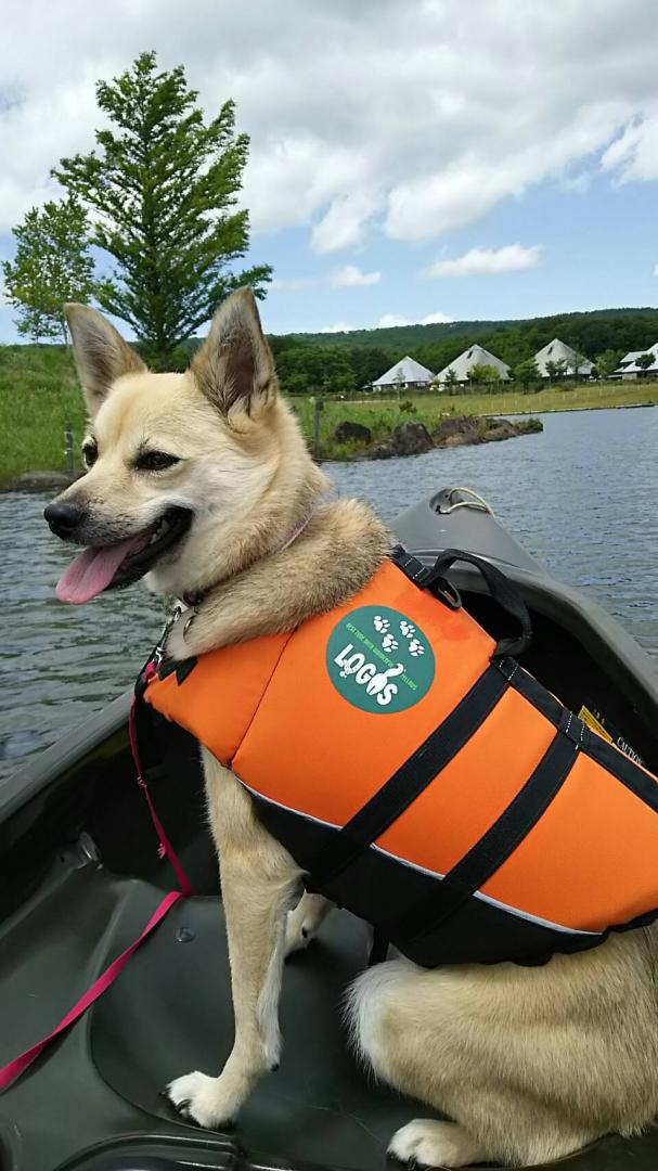 カヌー犬モモ