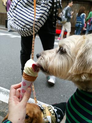 クールダウン