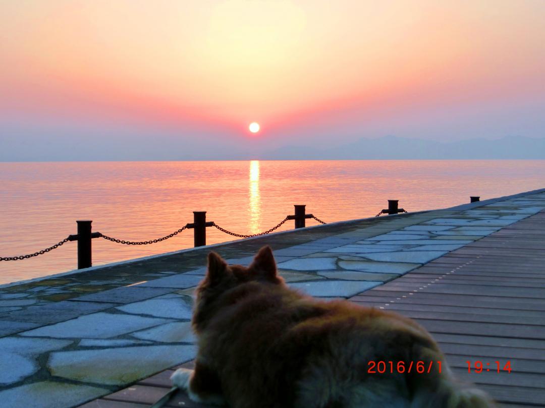 夕日きれいだな