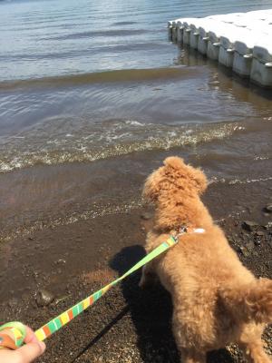 初めての山中湖